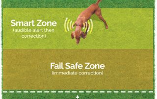 electric dog fence technology