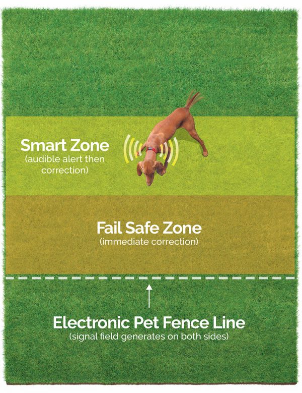 Electric Dog Fence Installation Atlanta (1 Hidden Dog Fence) Pet Stop®